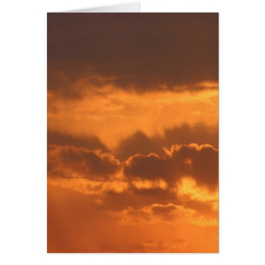 Bright Sunrise Cards (Front)