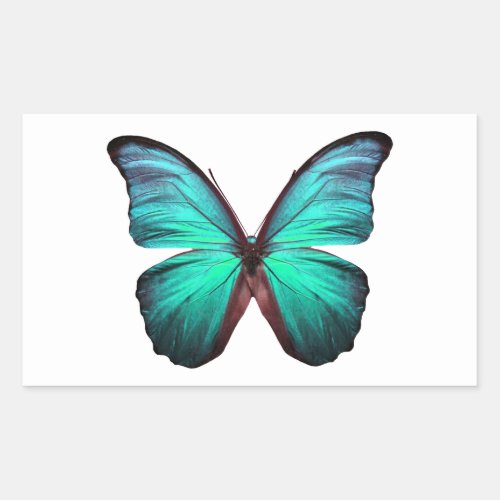 Bright Teal Butterfly Rectangular Sticker