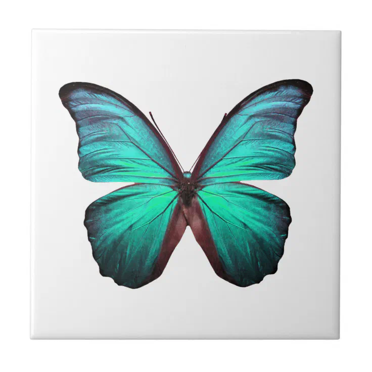 Bright Teal Butterfly Tile | Zazzle