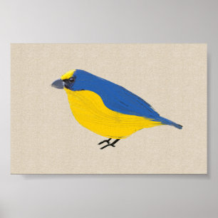 Bright Tropical Bird Euphonia on Linen Canvas Poster