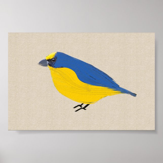 Bright Tropical  Bird Euphonia on Linen Canvas Poster (Front)