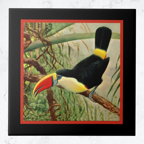 Bright Tropical Toucan in the Jungle Vintage Ceramic Tile