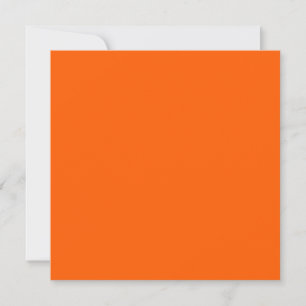 Bright True Orange Solid Color  Card
