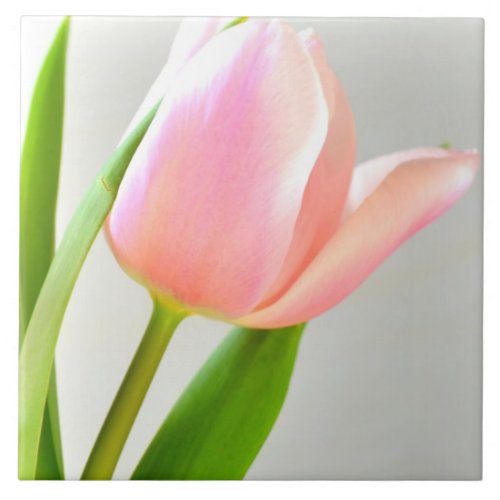 Bright Tulip Tile