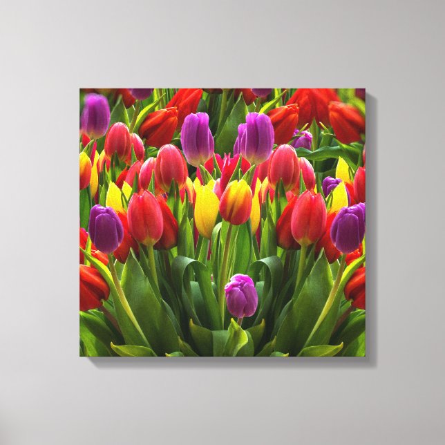 Bright Tulips Canvas Print (Front)