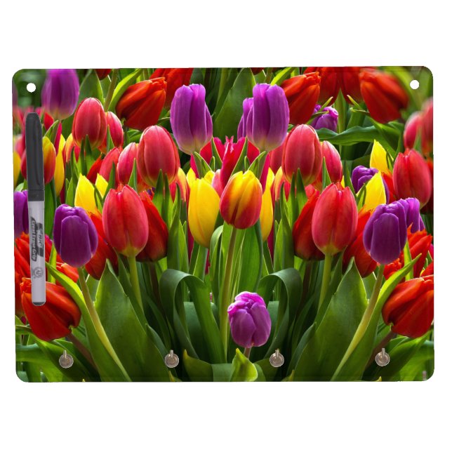 Bright Tulips Dry Erase Board With Keychain Holder (Front)