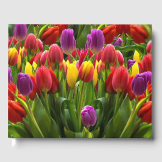 Bright Tulips Guest Book