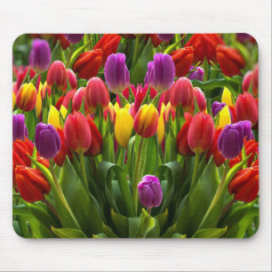 Bright Tulips Mouse Pad