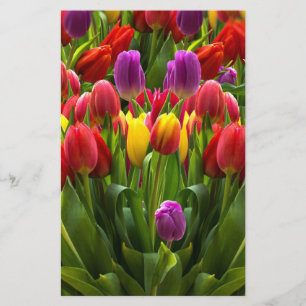 Bright Tulips Stationery