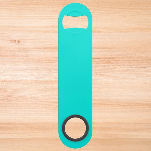 Bright Turquoise Solid Color Bar Key