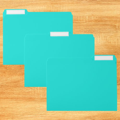 Bright Turquoise Solid Color File Folder