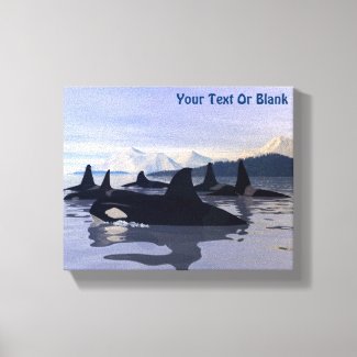 Bright Water Orca