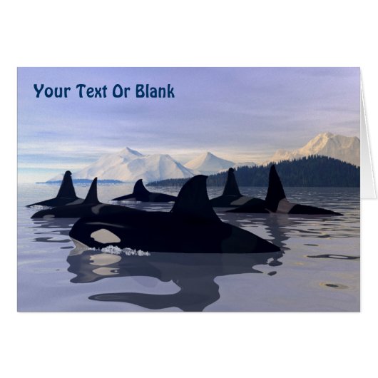 Bright Water Orca Cards (Front Horizontal)
