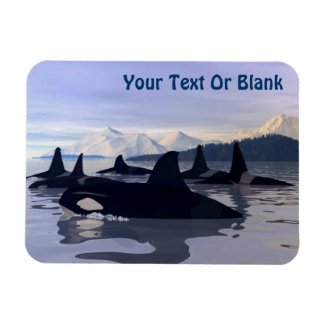 Bright Water Orca