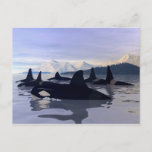 Bright Water Orca Postcard