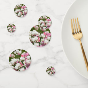 Bright white and pink tulips on a sunny day confetti