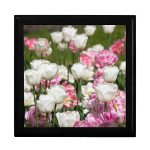 Bright white and pink tulips on a sunny day  gift box