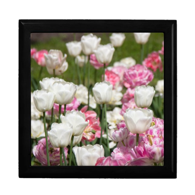 Bright white and pink tulips on a sunny day  gift box (Front)