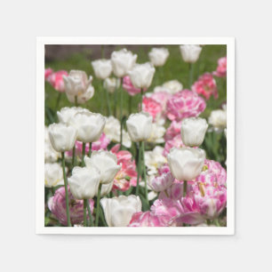 Bright white and pink tulips on a sunny day napkins