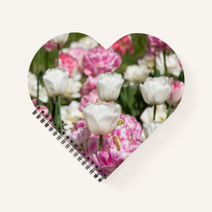 Bright white and pink tulips on a sunny day notebook