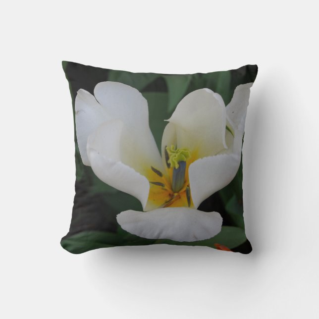 bright white pillow (Front)