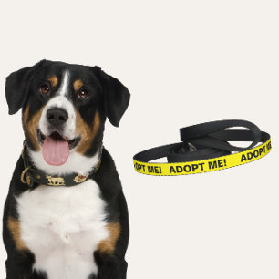 Bright Yellow Adopt Me Dog Leash
