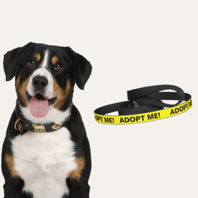 Bright Yellow Adopt Me Dog Leash (Yellow Adopt Me Dog Leash)