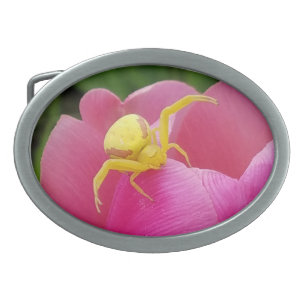 Bright Yellow Crab Spider on Tulip Belt Buckle