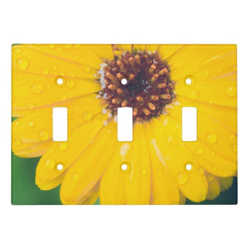 Bright yellow flower after rain light switch cover