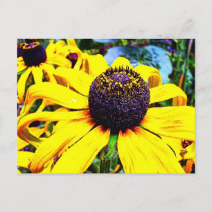 Bright Yellow Flower : Funchal, Portugal Postcard