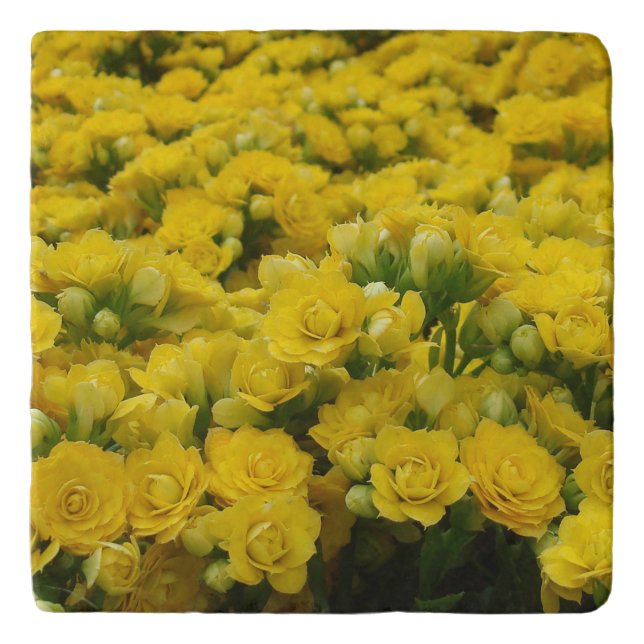 Bright Yellow Flower Photo Spring Bloom Vibrant Trivet (Front)