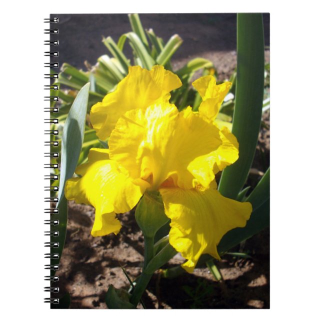 Bright Yellow Iris Flower, Notebook (Front)