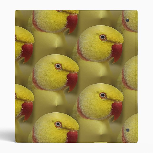 Lutino Baby Yellow Ringneck Parrot Bright Yellow Lutino Indian