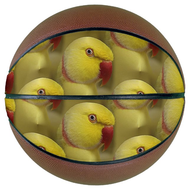 Bright Yellow Lutino Indian Ringneck Parrot Basketball (Front)