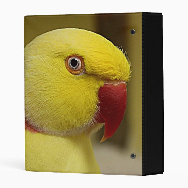 Bright Yellow Lutino Indian Ringneck Parrot Mini Binder Zazzle
