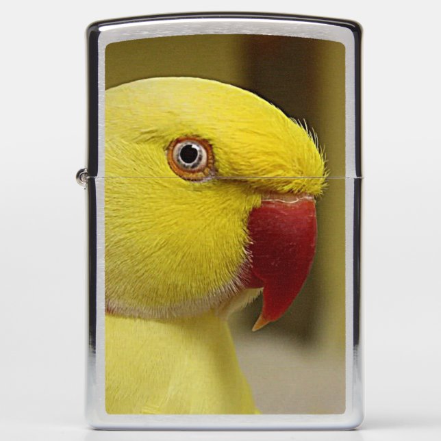 Bright Yellow Lutino Indian Ringneck Parrot Zippo Lighter (Front)