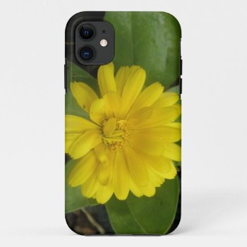 Bright Yellow Marigold Iphone 5 Case by Fallen_Angel_483 at Zazzle