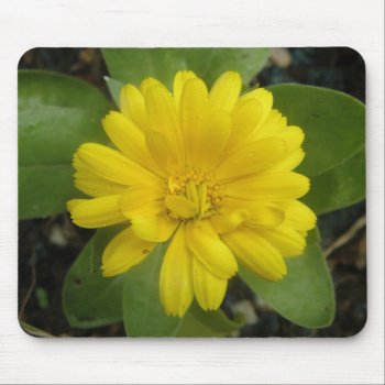 Bright Yellow Marigold Mousepad by Fallen_Angel_483 at Zazzle