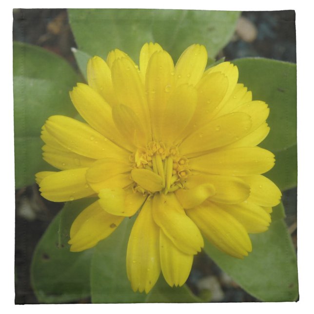Bright Yellow Marigold Napkin (Front)