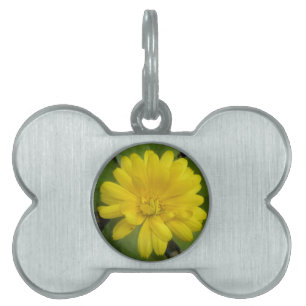 Bright Yellow Marigold Pet Tag