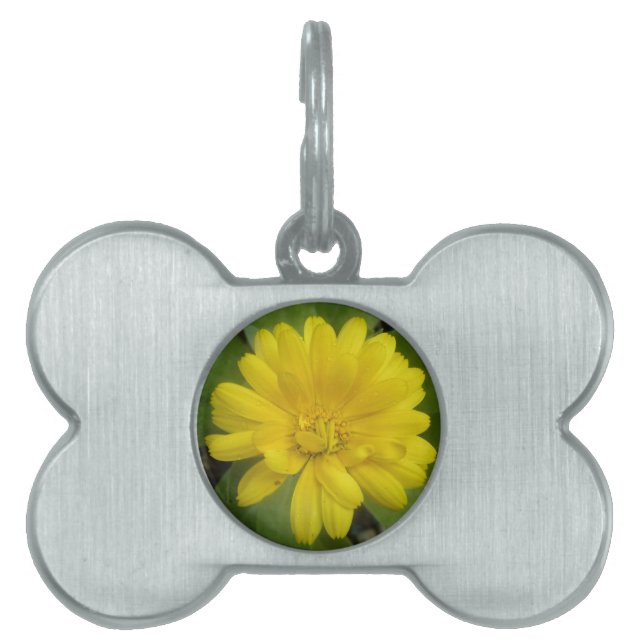 Bright Yellow Marigold Pet Tag (Front)