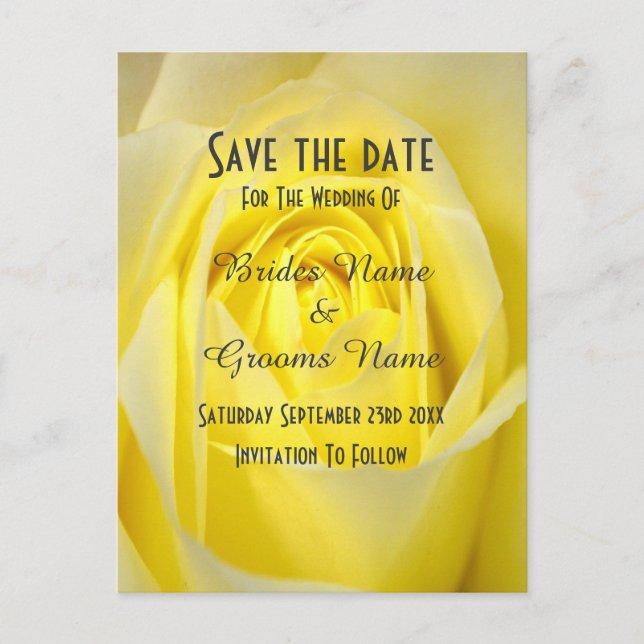 Bright yellow rose flower save the date announcement postcard (Front)