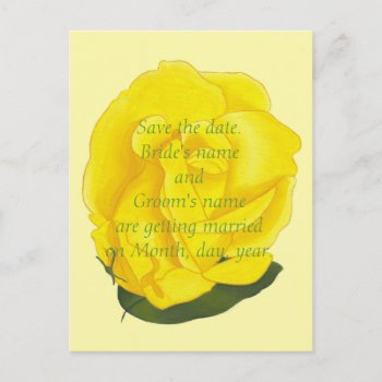 Bright Yellow Rose Save The Date Wedding Postcards by Cherylsart at Zazzle