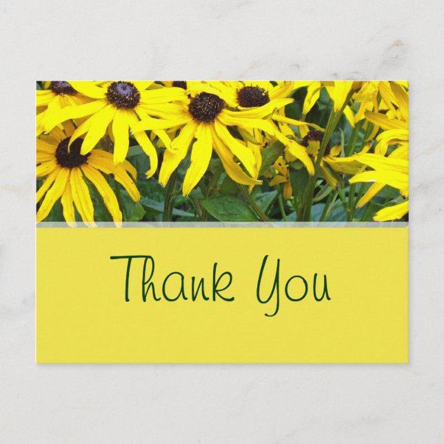 bright yellow summer daisy flowers thank you postcard (Front)