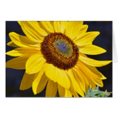 Bright yellow sunflower (Front Horizontal)