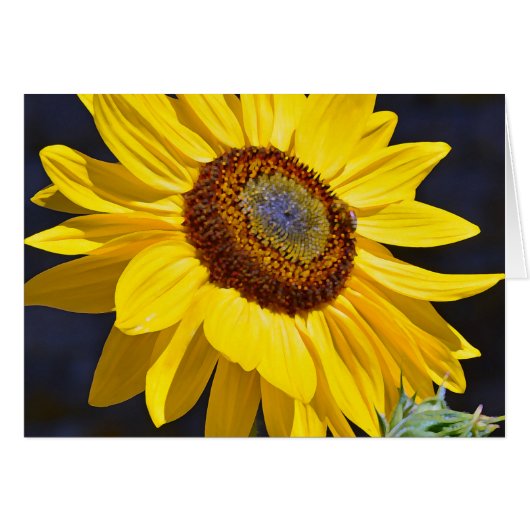 Bright yellow sunflower (Front Horizontal)