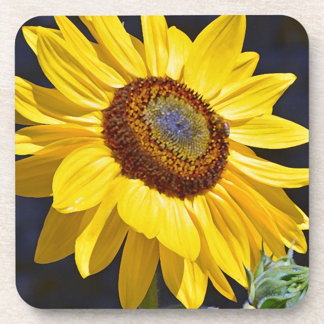 Bright yellow sunflower beverage coaster (Front)