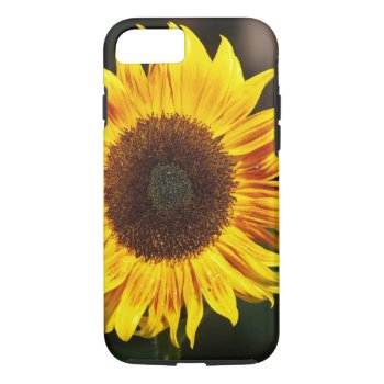 Bright Yellow Sunflower Iphone 8/7 Case by ChristyWyoming at Zazzle