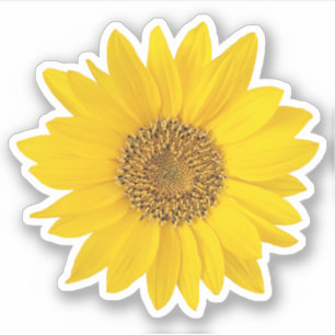 Bright Yellow Sunflower Contour Sticker