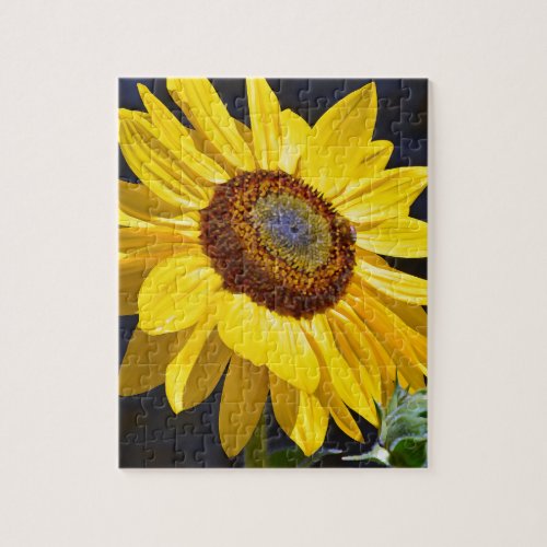 Bright yellow sunflower jigsaw puzzle